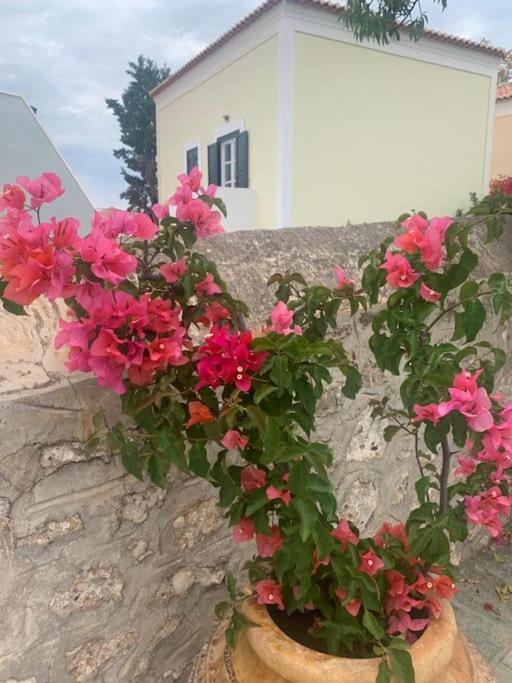 Villa 1853, Spetses Ground Floor Exteriér fotografie